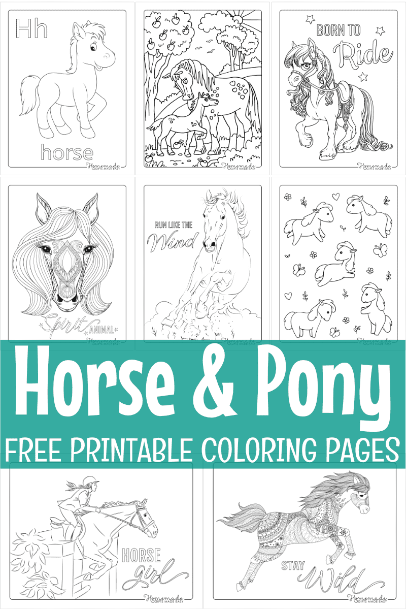 Free Printable Coloring Pages Of Horses