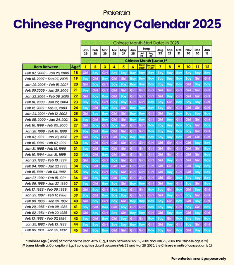 Mayan Calendar Gender 2026 Calculator