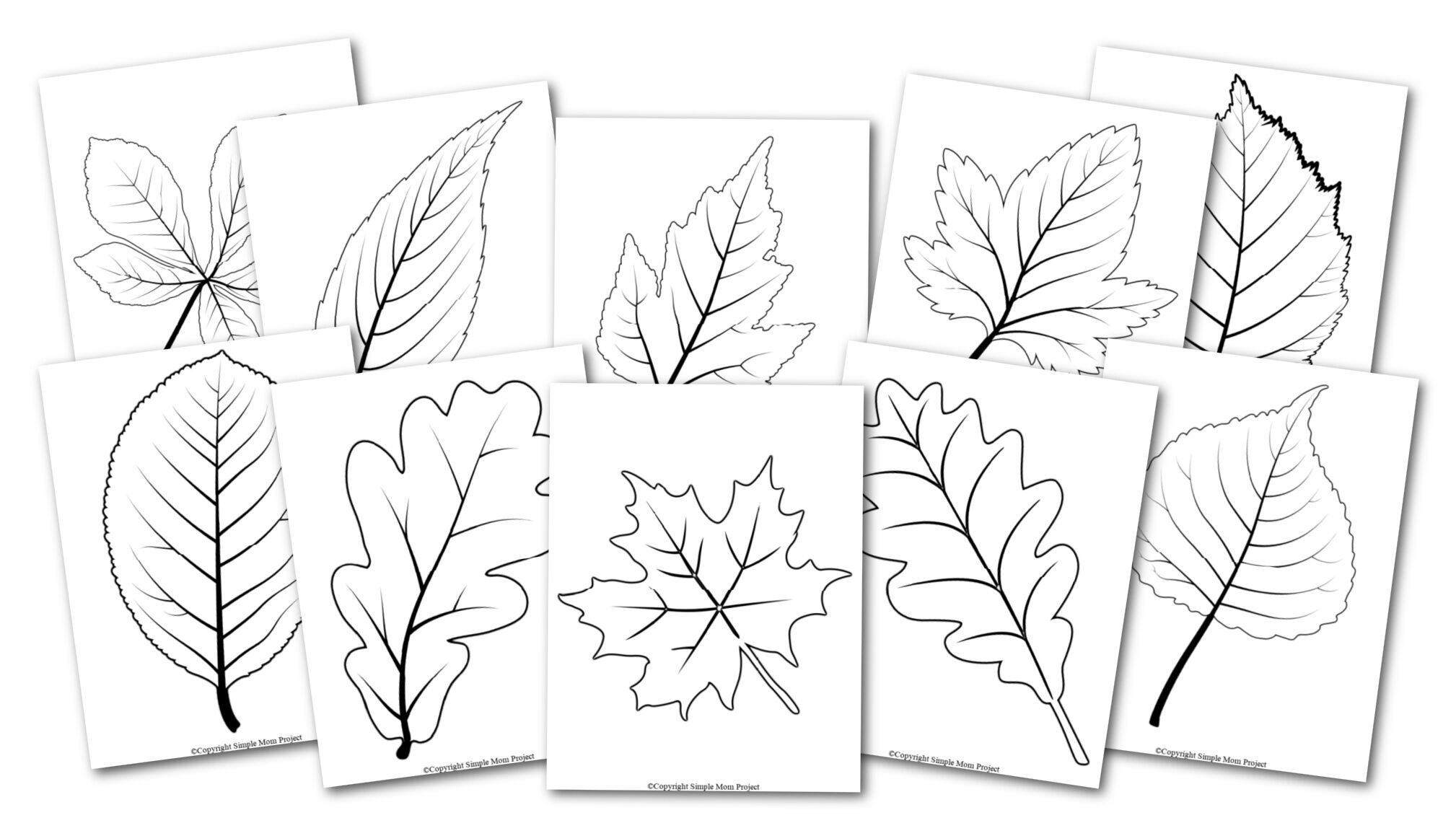 Free Printable Autumn Templates