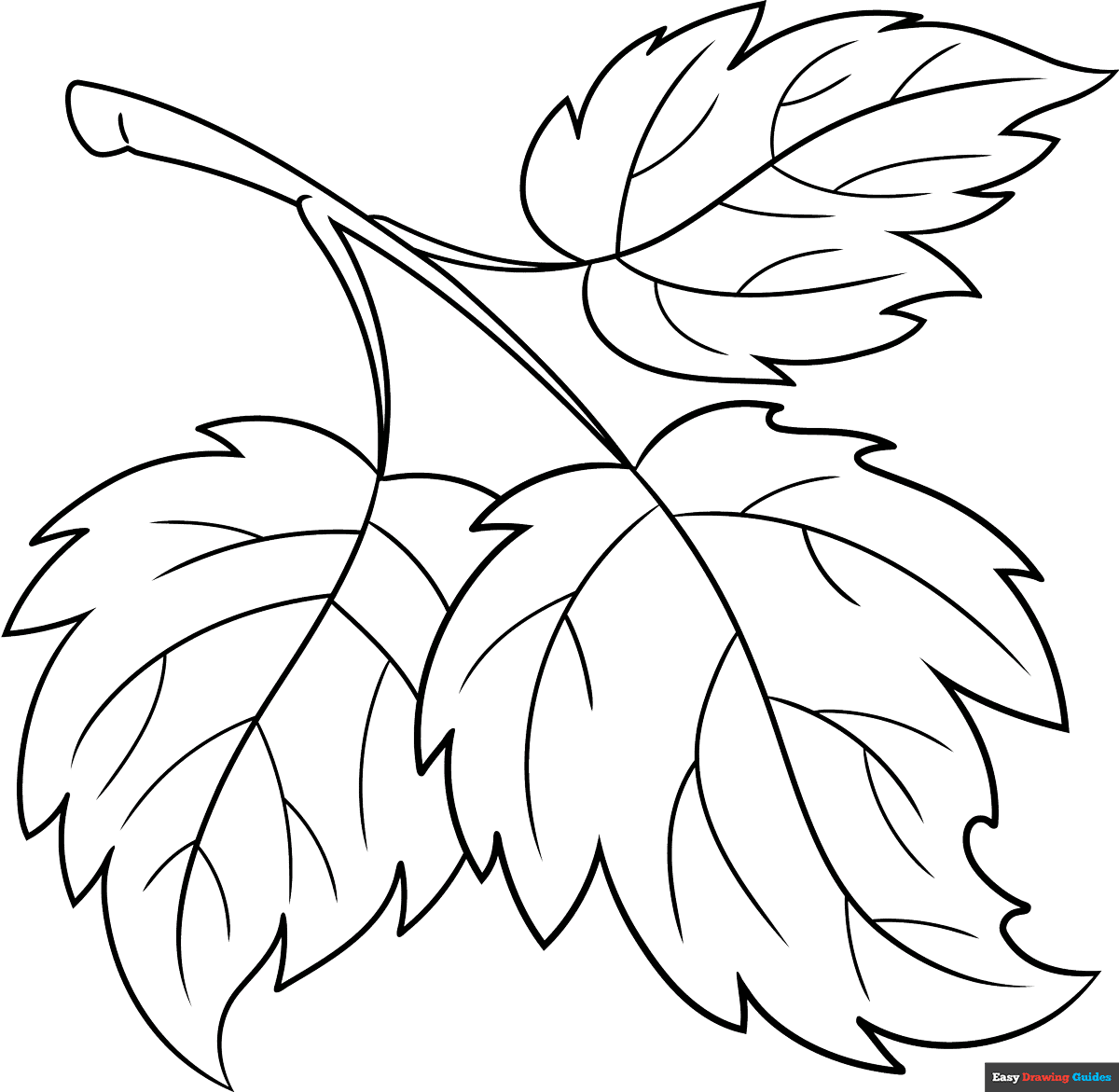 Leaf Outline Coloring Page Easy Drawing Guides