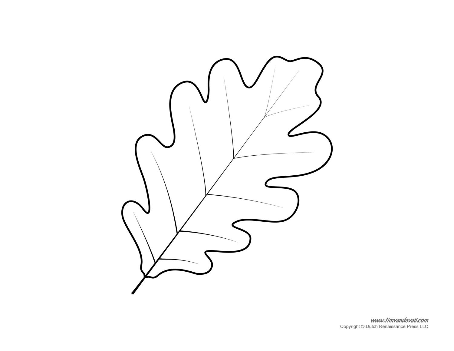 Leaf Templates U0026 Leaf Coloring Pages For Kids Leaf Printables