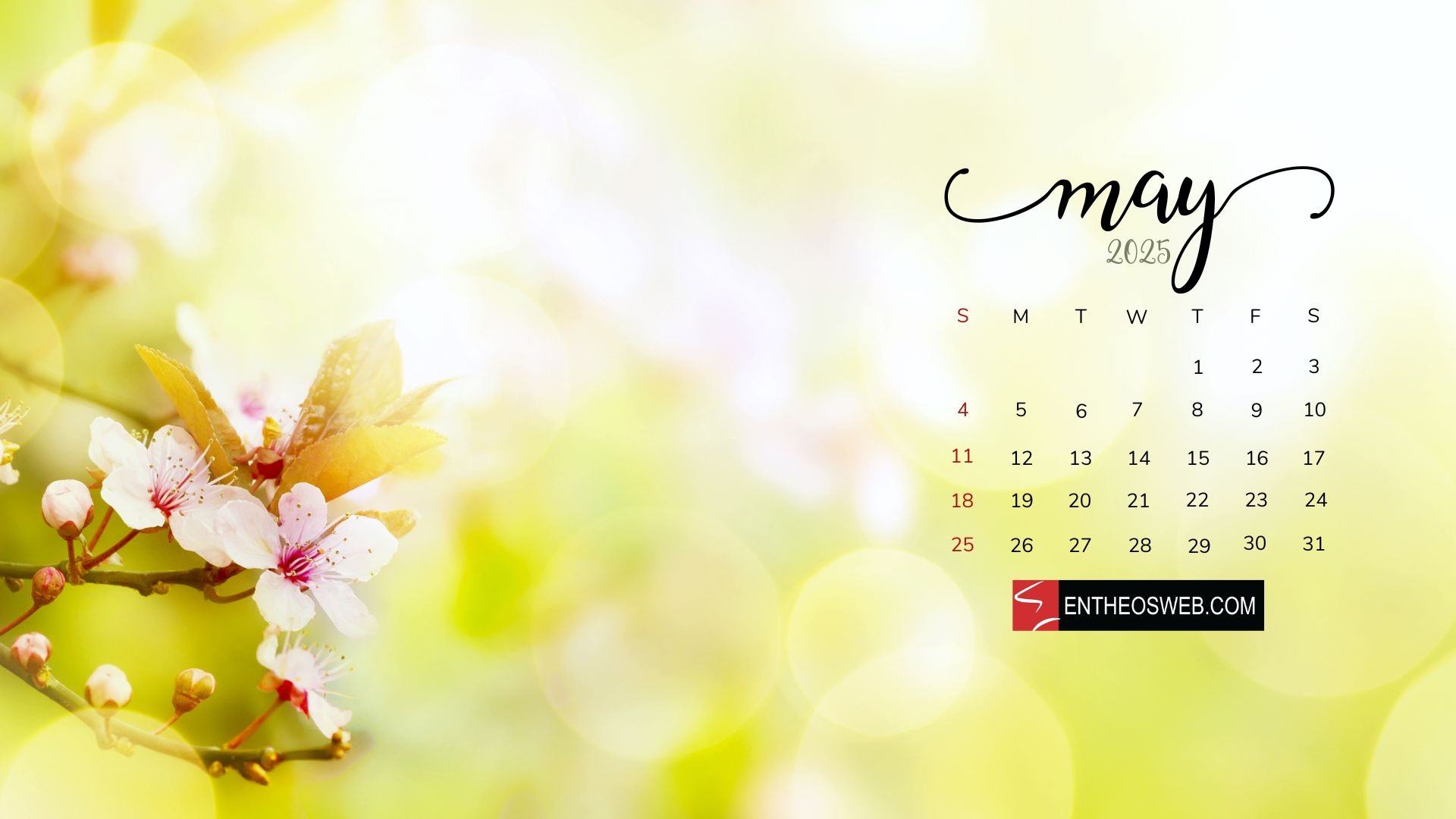 May Desktop Calendar Wallpaper EntheosWeb