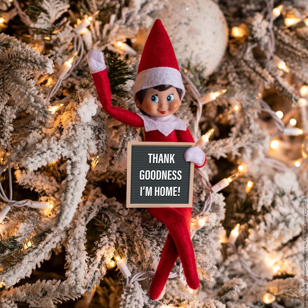 Elf Arrival Letter Free Printable